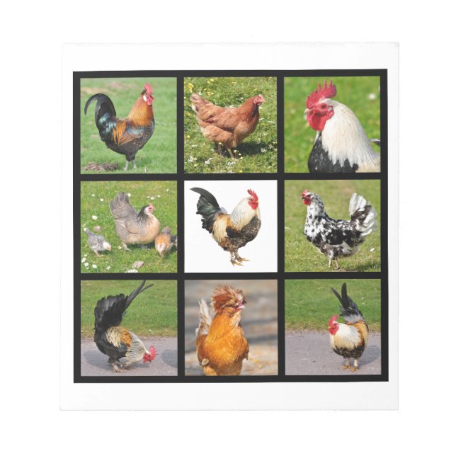 Bloco De Notas Photos mosaic of roosters and hens (Frente)
