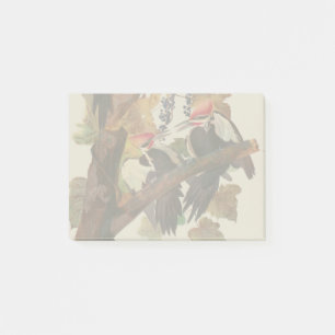 Bloco De Notas Pica-Pau-Grande de John James Audubon Impressão de