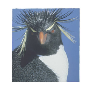 Bloco De Notas Pinguim Rockhopper (Eudyptes chrysocome)