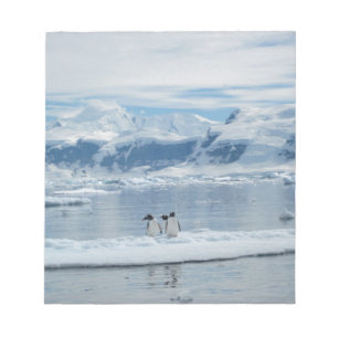 Bloco De Notas Pinguins em um iceberg