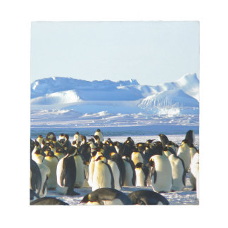 Bloco De Notas Pinguins imperadores