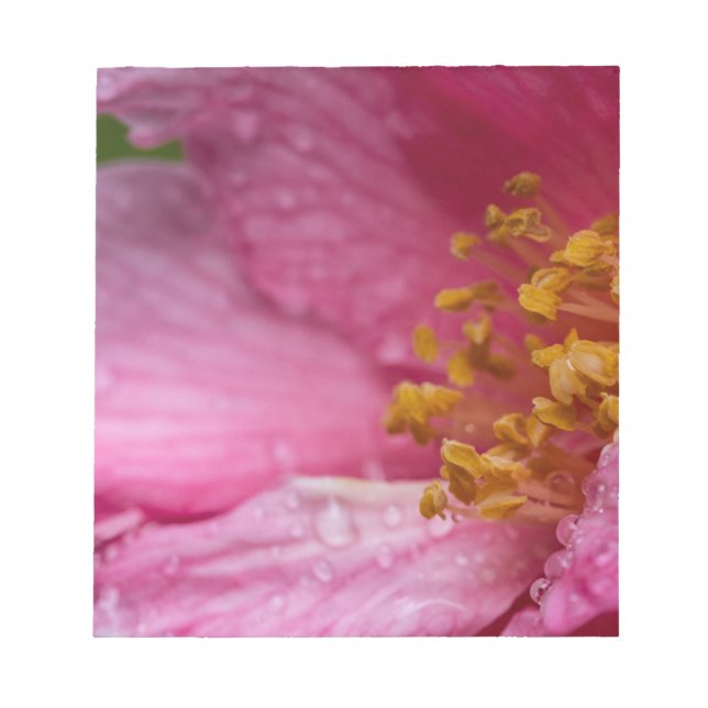 Bloco De Notas Pink Camellia Flower Stamens (Frente)