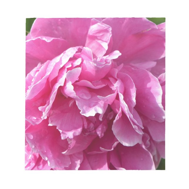 Bloco De Notas Pink Peony (Frente)