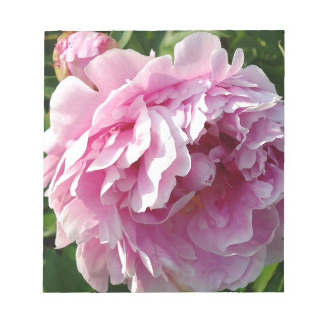 Bloco De Notas Pink Peony | jardim floral caseiro (Frente)