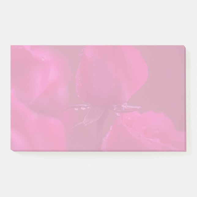 Bloco De Notas Pink Roses with Dew (Frente)