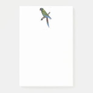Bloco De Notas Pintura em Macaw Verde