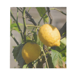 Bloco De Notas Placa gráfica de limão espanhola