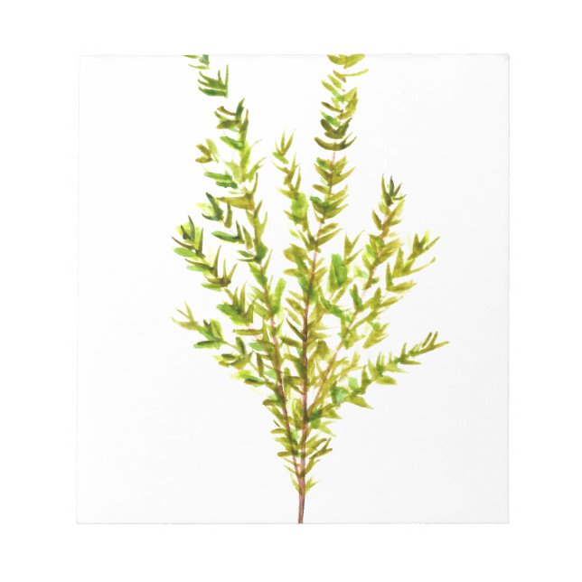 Bloco De Notas Plantas aromáticas por tomilho (Frente)