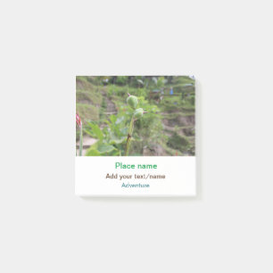 Bloco De Notas Plantas naturais fotografia água de praia viagem