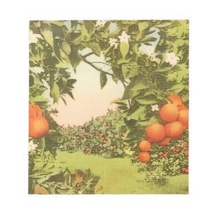 Bloco De Notas Pomar de Laranja Vintage