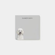 Poodle White Standard