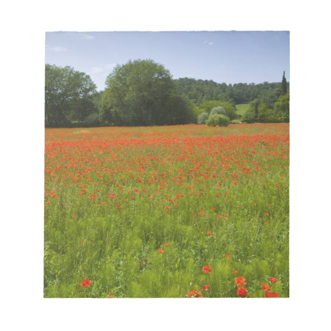 Bloco De Notas Poppy field, Chiusi, Itália (Frente)