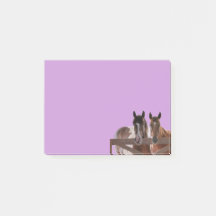 Postar anota Cavalos