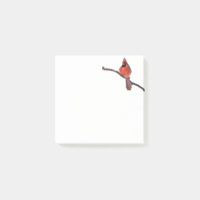 Bloco De Notas Postar nota Cardeal (Frente)