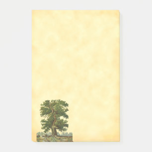 Bloco De Notas Poste a árvore de carvalho da Vintage