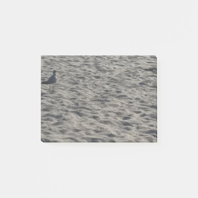 Bloco De Notas Poste as notas do Seagull (Frente)