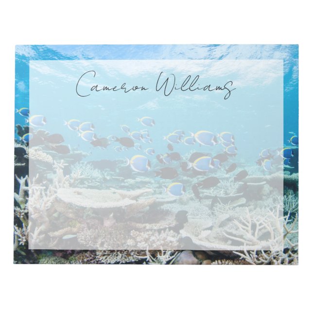 Bloco De Notas Praias Tropicais | Sturgeon Entre Coral (Frente)