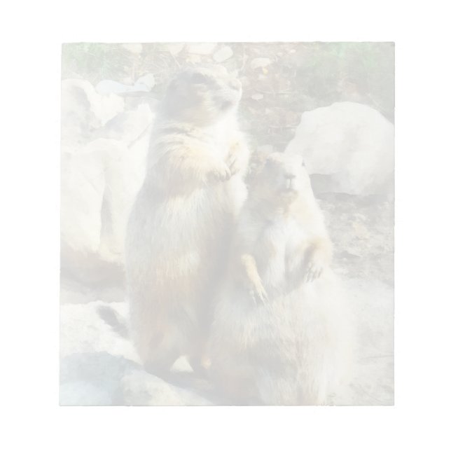 Bloco De Notas Prairie Dog - Retrato Formal (Frente)