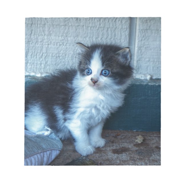 Bloco De Notas Preto + Gatinho Branco (Frente)