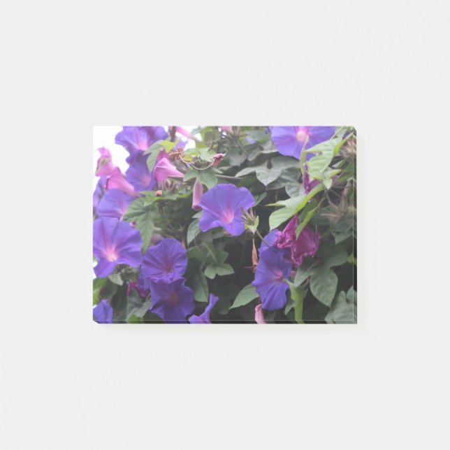 Bloco De Notas Primavera Morning Glories in Blue (Frente)