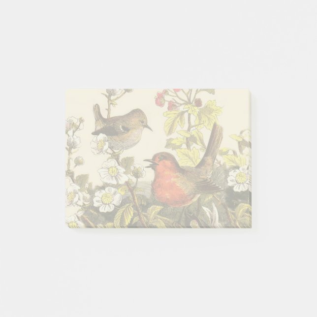 Bloco De Notas Primavera Robin Birds Red Birds (Frente)