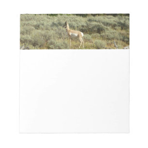 Bloco De Notas Pronghorn no Grand Teton National Park