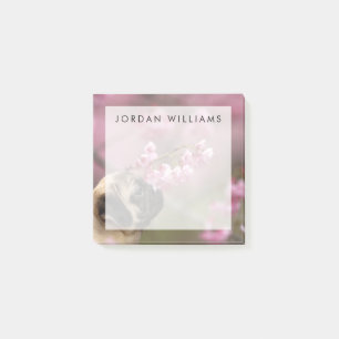 Bloco De Notas Pug Cheirando a arbustos