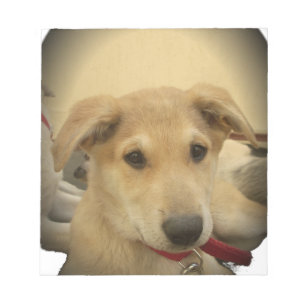 Bloco De Notas Puppy Love: Melhor Amigo do Homem