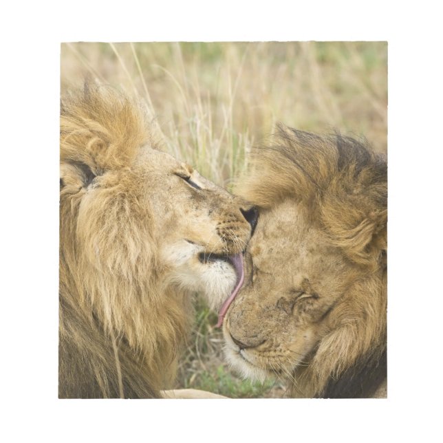 Bloco De Notas Quênia, Masai Mara (Frente)