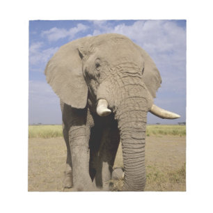 Bloco De Notas Quênia: Parque Nacional de Amboseli, elefante mach