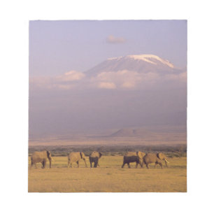 Bloco De Notas Quênia: Parque Nacional de Amboseli, Elefantes