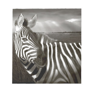 Bloco De Notas Quênia. Preto e branco de zebra e planície.