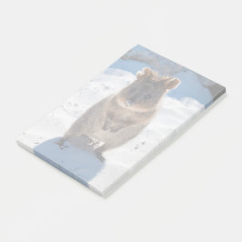 Bloco De Notas Quokka bonito e feliz na praia da Austrália