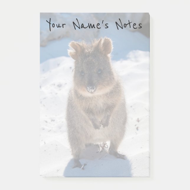 Bloco De Notas Quokka personalizada e feliz na praia (Frente)