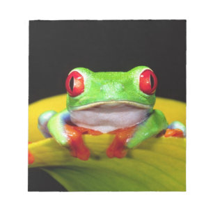 Bloco De Notas Rã-arbórea-de-olho-vermelho, Agalychinis callidrya
