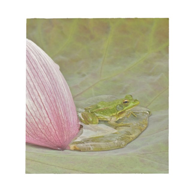 Bloco De Notas Rã e pétala de flor de lótus, China, (Frente)
