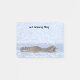 Bloco De Notas Racoon Swimming Post-it Notes