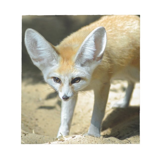 Bloco De Notas Raposa de Fennec (Frente)