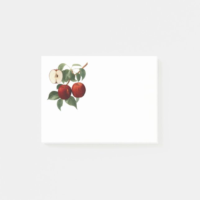 Bloco De Notas Red Apples Botanical Teacher Name 4x3 (Frente)