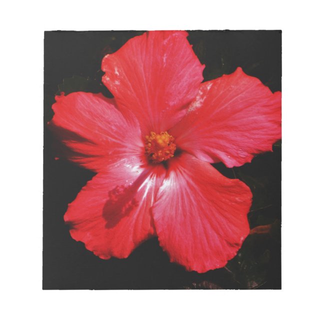 Bloco De Notas Red Hibiscus (Frente)