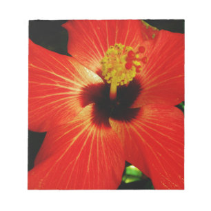 Bloco De Notas Red Hibiscus