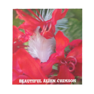 Bloco De Notas Red Petal Feather Art Impressão