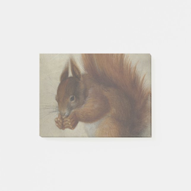 Bloco De Notas Red Squirrel (por Hans Hoffmann) (Frente)