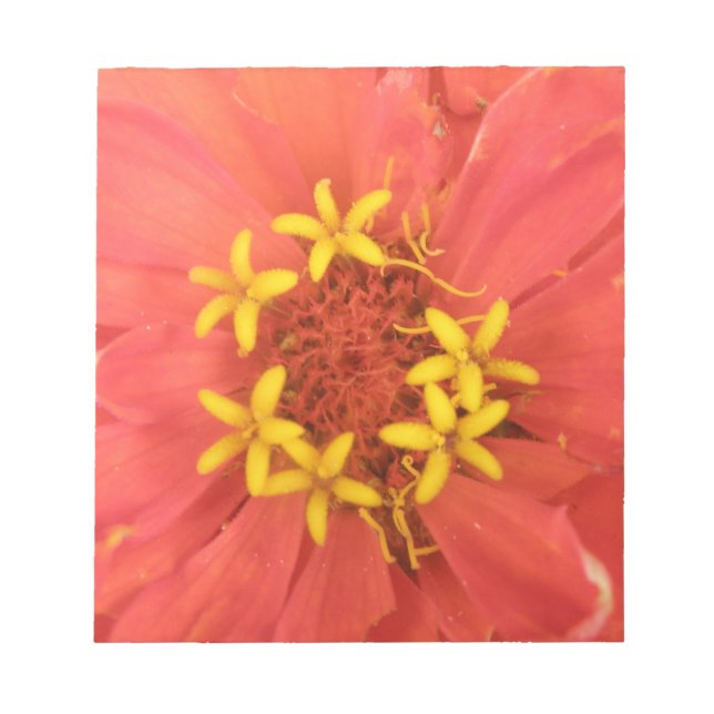 Bloco De Notas Red Zinnia Macro Notepad (Frente)