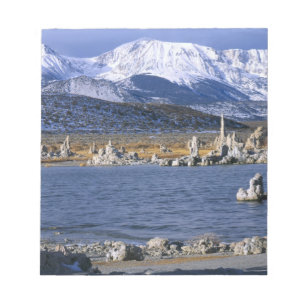 BLOCO DE NOTAS RESERVA NATURAL DO ESTADO DE MONO LAKE TUFA,