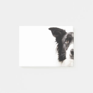 Bloco De Notas Retrato de border collie