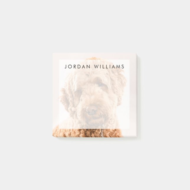 Bloco De Notas Retrato do Goldendoodle Studio (Frente)