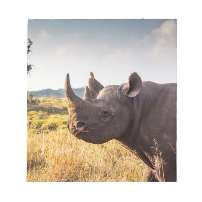 Bloco De Notas Rhino Notepad (Frente)