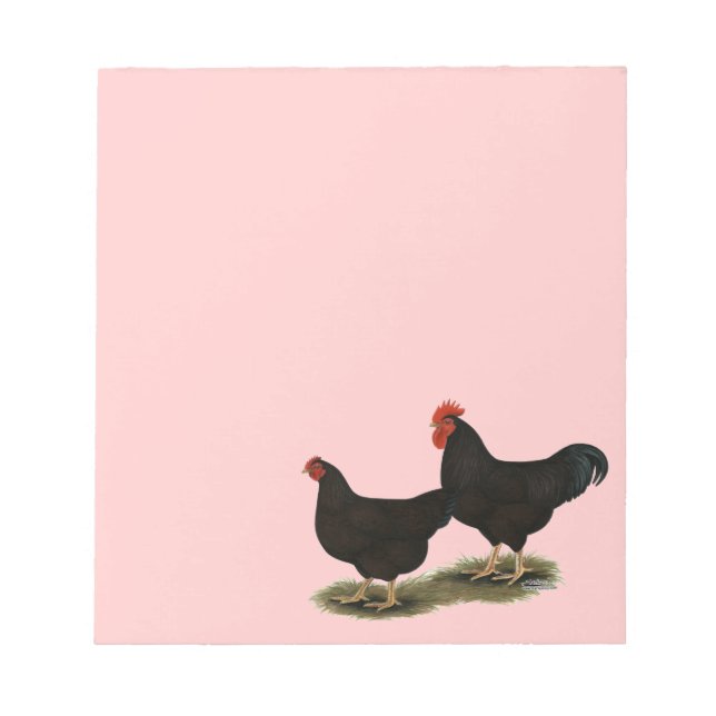 Bloco De Notas Rhode Island Red Bantams (Frente)