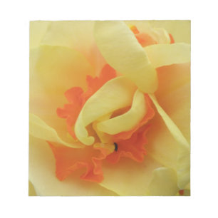 Bloco De Notas Rico Daffodil Daffodil Notepad